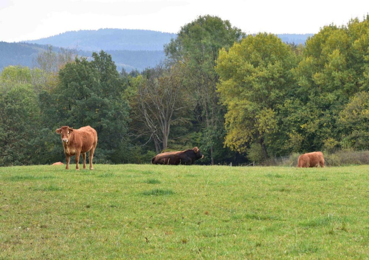 Ferienhaus Vulkaneifel Kopp Ngoại thất bức ảnh